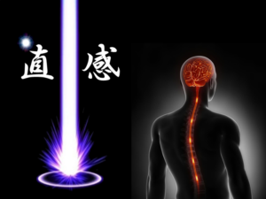 『運』の流れに乗るための信号。『直感』を科学的に解明